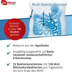 Dr. Wolz Darmflora plus select intens Kapseln, 80 St