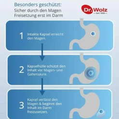 Darmflora plus select Kapseln, 40 St