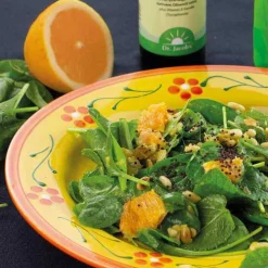 DHA + EPA vegan Tocoprotect Dr. Jacob`s flüssig, 250 ml