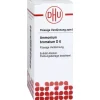 New DHU Ammonium bromatum D 6 Dilution, 20 ml