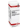DHU Atropinum sulfuricum D 6 Dilution, 20 ml