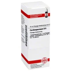 Outlet DHU Cardiospermum D 6 Dilution, 20 ml C