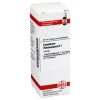 Outlet DHU causticum Hahnemanni Urtinktur =, 20 ml