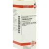Outlet DHU Chelidonium C 6 Dilution, 20 ml C
