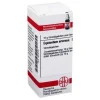 Discount DHU Equisetum arvense D 4 Globuli, 10 g