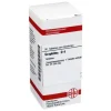 Sale Graphites D 4 Tabletten, 80 St G