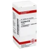 DHU Graphites D 30 Tabletten, 80 St
