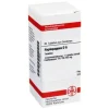 Online DHU Haplopappus D 6 Tabletten, 80 St H