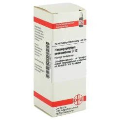 Clearance DHU Harpagophytum procumbens D 12 Dilution, 20 ml