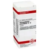 Hot DHU Harpagophytum procumbens D 12 Tabletten, 80 St