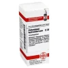 Outlet DHU Histaminum hydrochloricum D 30 Globuli, 10 g