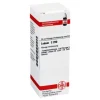 New DHU Ledum C 200 Dilution, 20 ml
