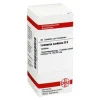 New DHU Leonurus Cardiaca D 6 Tabletten, 80 St L