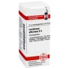 Online DHU Levisticum officinale D 6 Globuli, 10 g