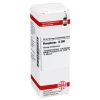 Sale DHU Phosphorus D 200 Dilution, 20 ml