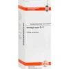 Outlet DHU Plantago Major D 12 Dilution, 20 ml P