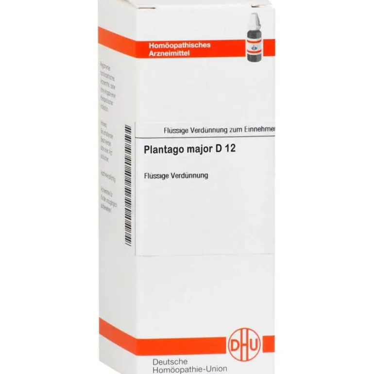 Outlet DHU Plantago Major D 12 Dilution, 20 ml P