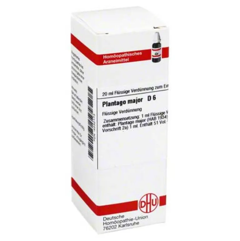 Sale DHU Plantago Major D 6 Dilution, 20 ml P