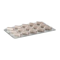 Best Zimtextraktkapseln, 60 St Zimt