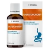 Hot Weleda Digestodoron Dilution, 50 ml