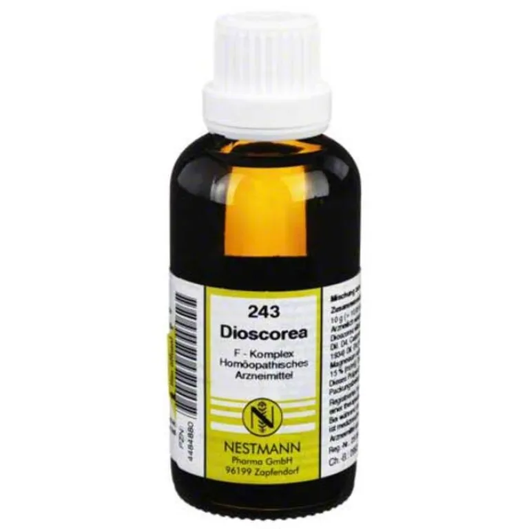 Outlet Dioscorea F Komplex Nr. 243 Dilution, 50 ml Nestmann