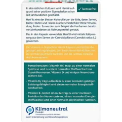 Sale Doppelherz Hanföl Kapseln, 80 St