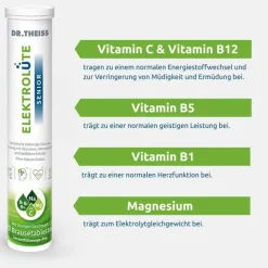 Dr. Theiss Elektrolüte Senior Brausetabletten, 20 St
