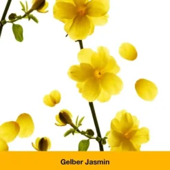 dystoLoges® Tabletten, 260 St