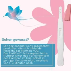 Outlet EaRlibird Ultrafrüh Schwangerschaftstest Urin, 1 St