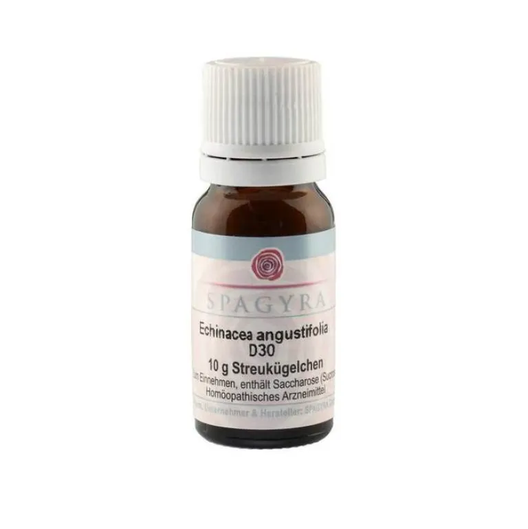 Best Echinacea angustifolia D 30 Globuli, 10 g E|E
