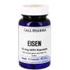 Eisen 14 mg GPH Kapseln, 60 St