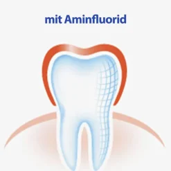 Hot Elmex Zahnhölzer, 3X32 St