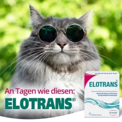 Hot Elotrans Pulver, 10 St