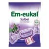 Outlet Em-eukal Halsbonbons Salbei zuckerhaltig, 75 g Husten & Halsbonbons