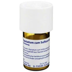 Outlet Equisetum cum Sulfure tostum D 6 Trituration, 20 g Niere, Blase & Prostata