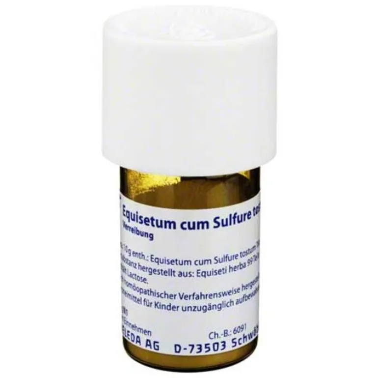 Outlet Equisetum cum Sulfure tostum D 6 Trituration, 20 g Niere, Blase & Prostata