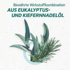 Online Eucabal ® Inhalat, 20 ml