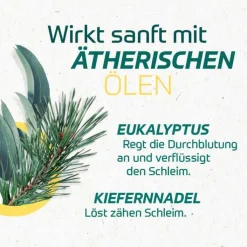 Eucabal®-Balsam S Creme, 50 ml