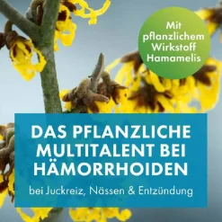 Sale Faktu lind Hämorrhoidenzäpfchen mit Hamamelis, 10 St
