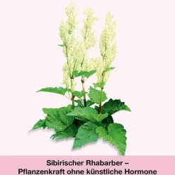 femiLoges Tabletten, 30 St