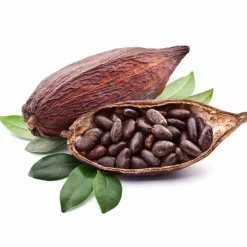 Best Pharmatura Fermentura Magnesium Tabletten, 60 St