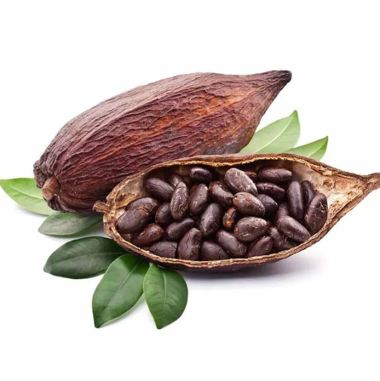 Best Pharmatura Fermentura Magnesium Tabletten, 60 St