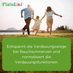 Clearance Flatulini® Streukügelchen, 2 g Kinder Heel|Verdauung