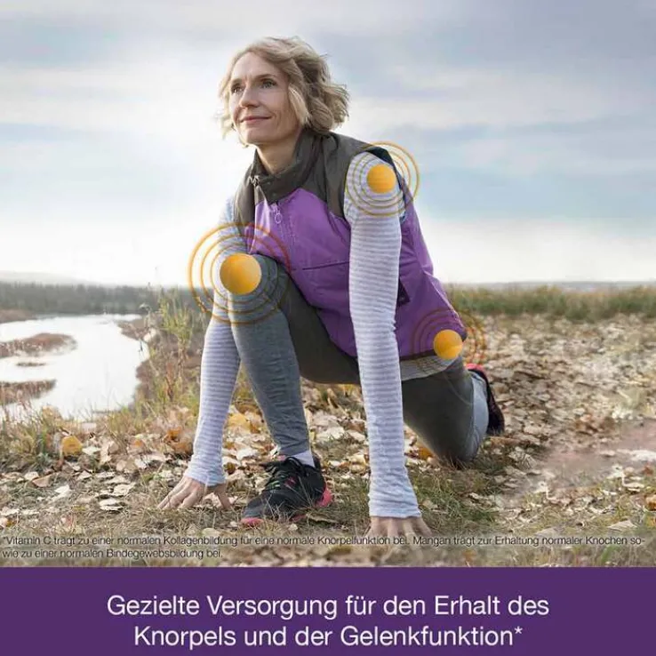 Flexiloges Knorpel aktiv Kapseln, 120 St