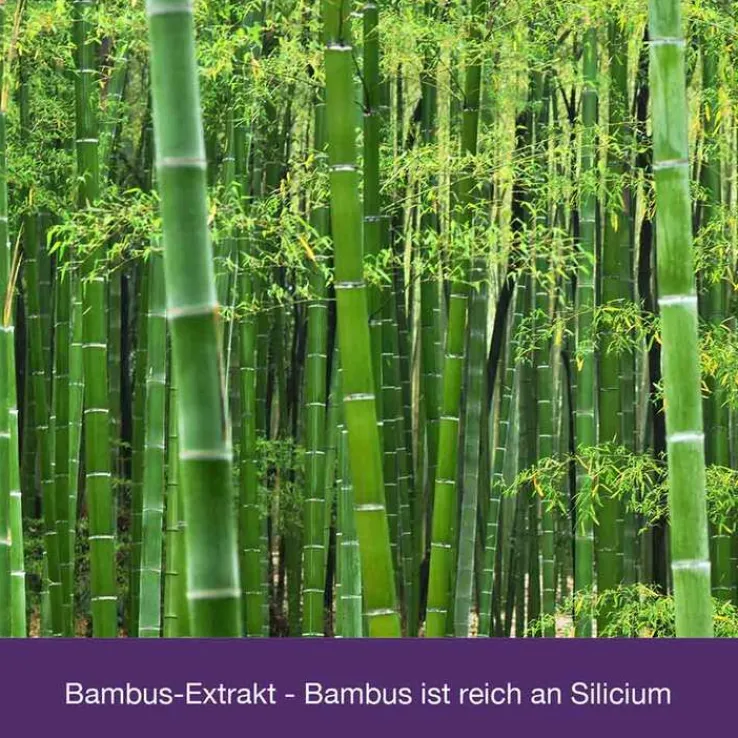 Flexiloges Knorpel aktiv Kapseln, 120 St