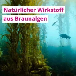 Outlet Fluxan Liquid Sachet, 20 St