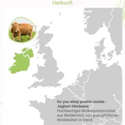 Discount For You whey protein isolate Joghurt-Himbeere Pulver , 600 g