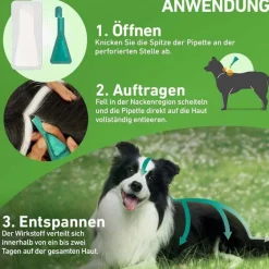 Best COMBO® gegen Zecken, Flöhe bei Hunden S (2 -10 kg), 3 St Flöhe, Zecken & Co.