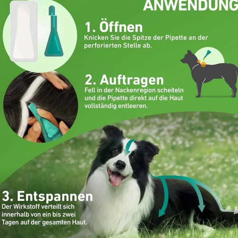 Best COMBO® gegen Zecken, Flöhe bei Hunden S (2 -10 kg), 3 St Flöhe, Zecken & Co.