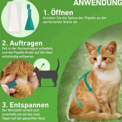 FRONTLINE COMBO® SPOT ON Katze, 6 St